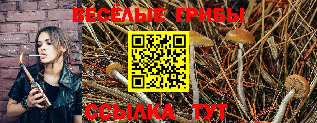 Галлюциногенные грибы MAGIC MUSHROOMS  закладки  Липецк  Вход с VPN 